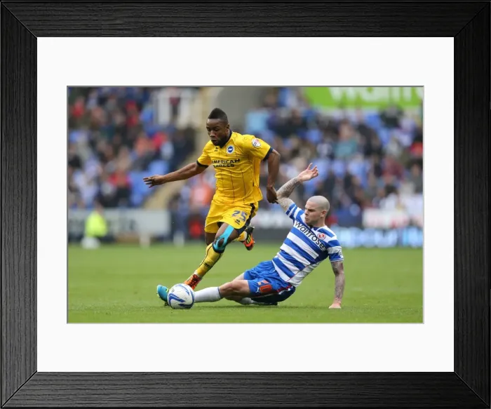 Framed Print : Brighton & Hove Albion vs. Reading (Away) - 2013-14 Season: Away Game Highlights Framed Print : Brighton & Hove Albion vs. Reading (Away) - 2013-14 Season: Away Game Highlights