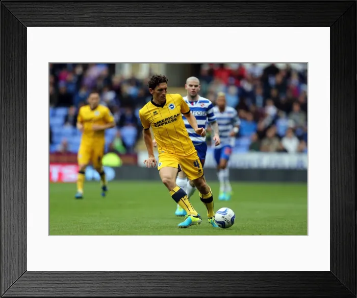 Framed Print : Brighton & Hove Albion vs. Reading: 2013-14 Away Game