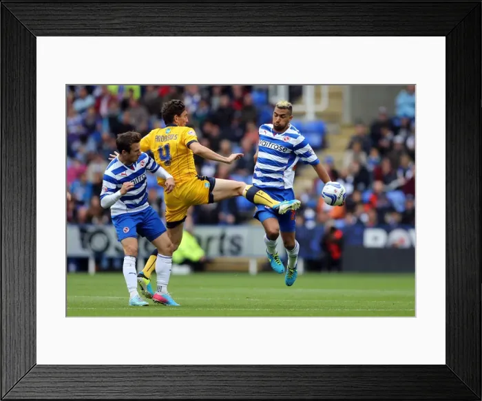 Framed Print : Brighton & Hove Albion vs. Reading (Away) - 15-09-2013: Away Game Highlights, 2013-14 Season Framed Print : Brighton & Hove Albion vs. Reading (Away) - 15-09-2013: Away Game Highlights, 2013-14 Season