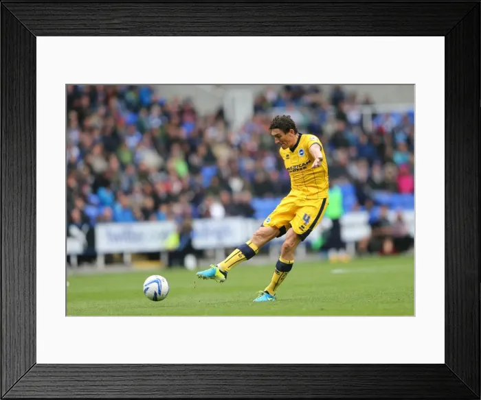 Framed Print : Brighton & Hove Albion vs. Reading (Away) - 15-09-2013: 2013-14 Season Framed Print : Brighton & Hove Albion vs. Reading (Away) - 15-09-2013: 2013-14 Season