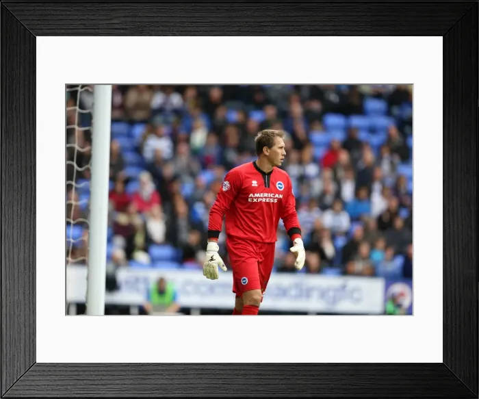 Framed Print : Brighton & Hove Albion vs. Reading: 2013-14 Season Away Game Framed Print : Brighton & Hove Albion vs. Reading: 2013-14 Season Away Game