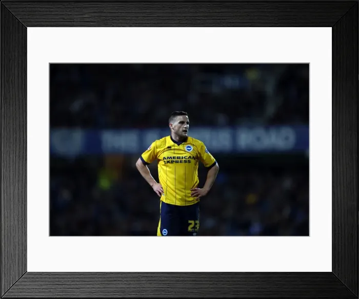 Framed Print : Brighton & Hove Albion vs. QPR: Away Game (September 18, 2013)