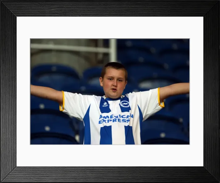 Framed Print : Crowd Shots Away Days 2012-13 Framed Print : Crowd Shots Away Days 2012-13
