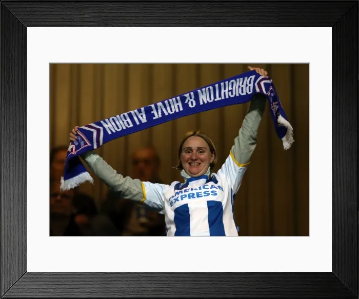 Framed Print : Brighton & Hove Albion vs. QPR: Away Game (September 18, 2013) Framed Print : Brighton & Hove Albion vs. QPR: Away Game (September 18, 2013)