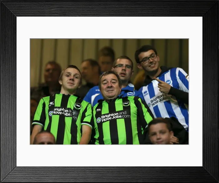 Framed Print : Brighton & Hove Albion vs. QPR: Away Game - September 18, 2013 Framed Print : Brighton & Hove Albion vs. QPR: Away Game - September 18, 2013