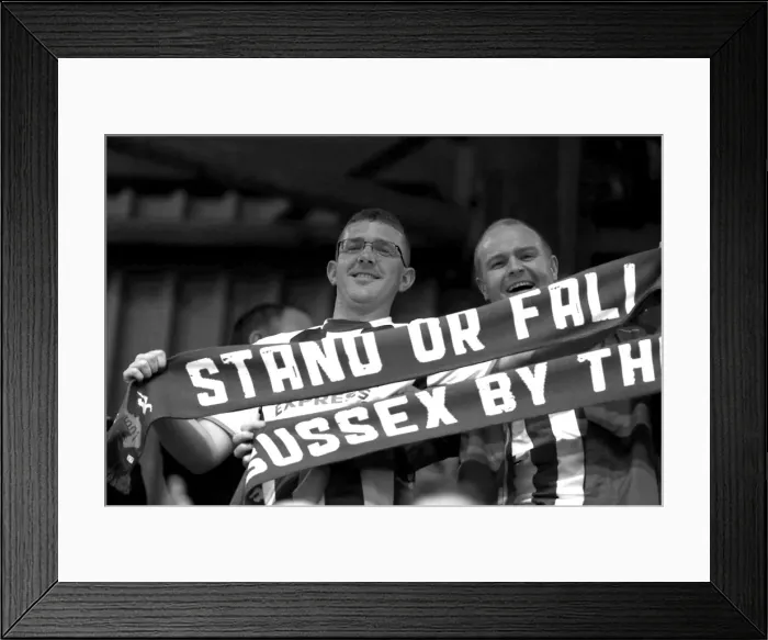 Framed Print : Brighton & Hove Albion vs. QPR: Away Game (September 18, 2013) Framed Print : Brighton & Hove Albion vs. QPR: Away Game (September 18, 2013)