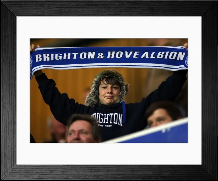 Framed Print : Brighton & Hove Albion vs. QPR: Away Game - September 18, 2013 Framed Print : Brighton & Hove Albion vs. QPR: Away Game - September 18, 2013