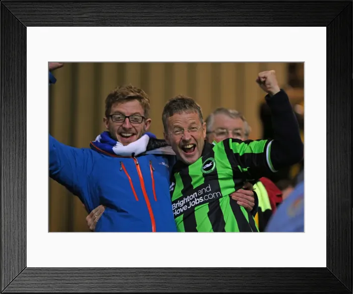 Framed Print : Brighton & Hove Albion vs. QPR: Away Game (September 18, 2013) Framed Print : Brighton & Hove Albion vs. QPR: Away Game (September 18, 2013)
