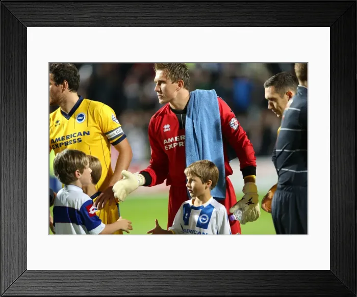 Framed Print : Brighton & Hove Albion vs. QPR: Away Game - September 18, 2013 Framed Print : Brighton & Hove Albion vs. QPR: Away Game - September 18, 2013