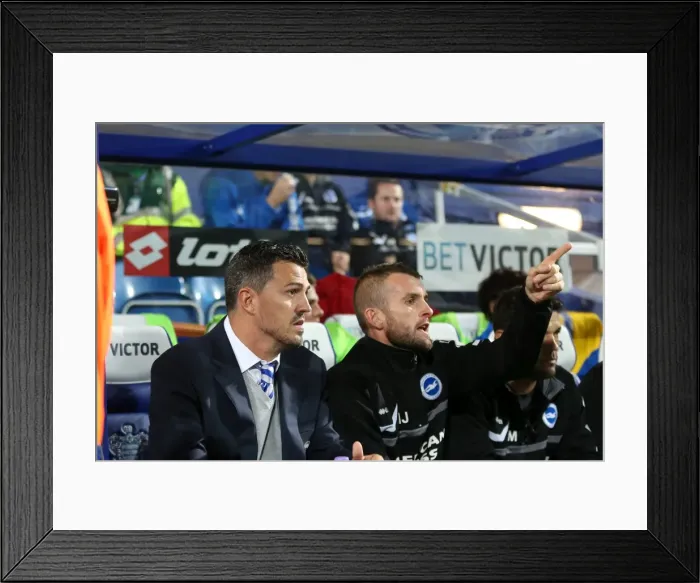 Framed Print : Brighton & Hove Albion vs. QPR: Away Game (September 18, 2013) Framed Print : Brighton & Hove Albion vs. QPR: Away Game (September 18, 2013)