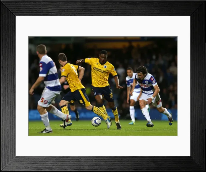 Framed Print : Brighton & Hove Albion vs. QPR: Away Game (September 18, 2013) Framed Print : Brighton & Hove Albion vs. QPR: Away Game (September 18, 2013)