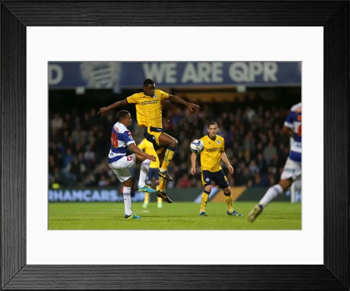 Framed Print : Brighton & Hove Albion vs. QPR: Away Game (September 18, 2013) Framed Print : Brighton & Hove Albion vs. QPR: Away Game (September 18, 2013)