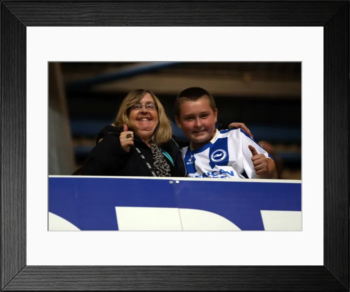 Framed Print : Brighton & Hove Albion vs. QPR: Away Game (September 18, 2013) Framed Print : Brighton & Hove Albion vs. QPR: Away Game (September 18, 2013)
