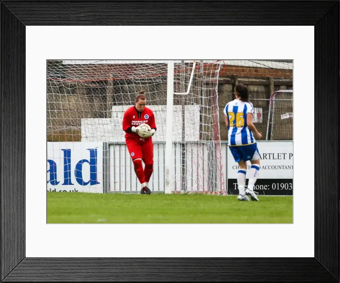 Framed Print : Brighton & Hove Albion Women's Football: 2013-14 Season - Match Against Chesham Framed Print : Brighton & Hove Albion Women's Football: 2013-14 Season - Match Against Chesham