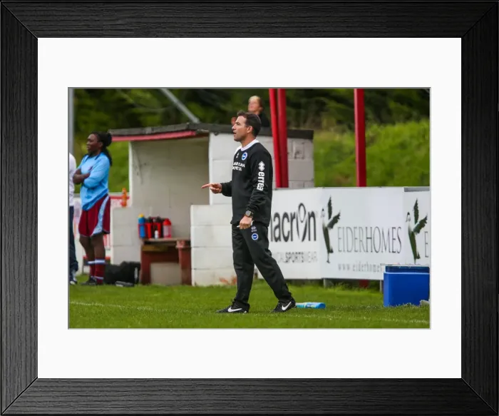Framed Print : Brighton & Hove Albion Women's Football: 2013-14 Season - Chesham Match Framed Print : Brighton & Hove Albion Women's Football: 2013-14 Season - Chesham Match