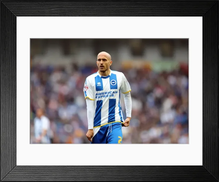 Framed Print : Bruno Framed Print : Bruno
