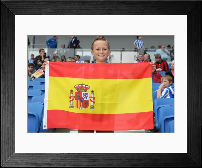 Framed Print : Brighton & Hove Albion vs. Bolton Wanderers (Spanish Day, 2013-14 Season): Home Game Highlights