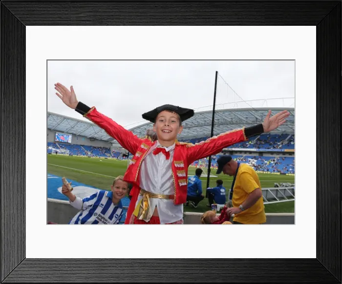 Framed Print : Brighton & Hove Albion vs. Bolton Wanderers (Spanish Day): Home Game - Season 2013-14 Framed Print : Brighton & Hove Albion vs. Bolton Wanderers (Spanish Day): Home Game - Season 2013-14