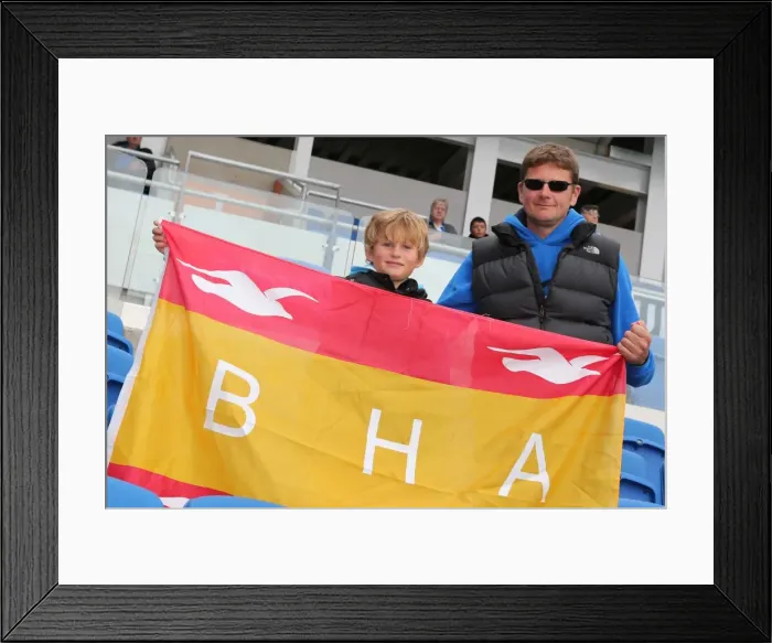 Framed Print : Brighton & Hove Albion vs. Bolton Wanderers (Spanish Day, 2013-14 Season) - Home Game