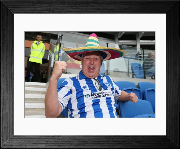 Framed Print : Brighton & Hove Albion vs. Bolton Wanderers (Spanish Day): 21-09-2013 - Home Game, Season 2013-14