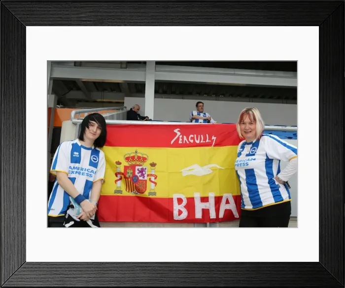 Framed Print : Brighton & Hove Albion vs. Bolton Wanderers (Spanish Day): 2013-14 Home Game