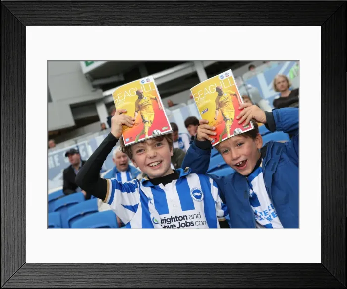 Framed Print : Brighton & Hove Albion vs. Bolton Wanderers (Spanish Day): 21-09-2013 - Home Game, Season 2013-14