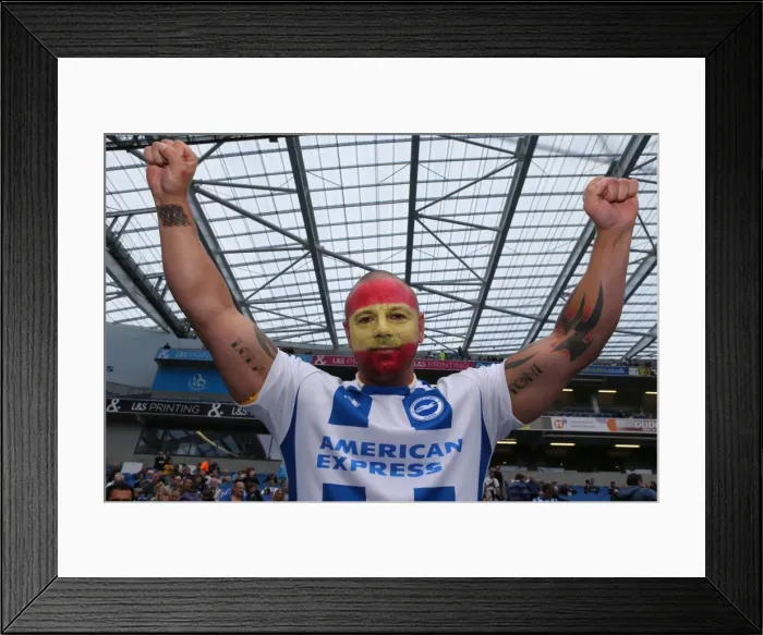 Framed Print : Brighton & Hove Albion vs. Bolton Wanderers (Spanish Day): 2013-14 Home Game