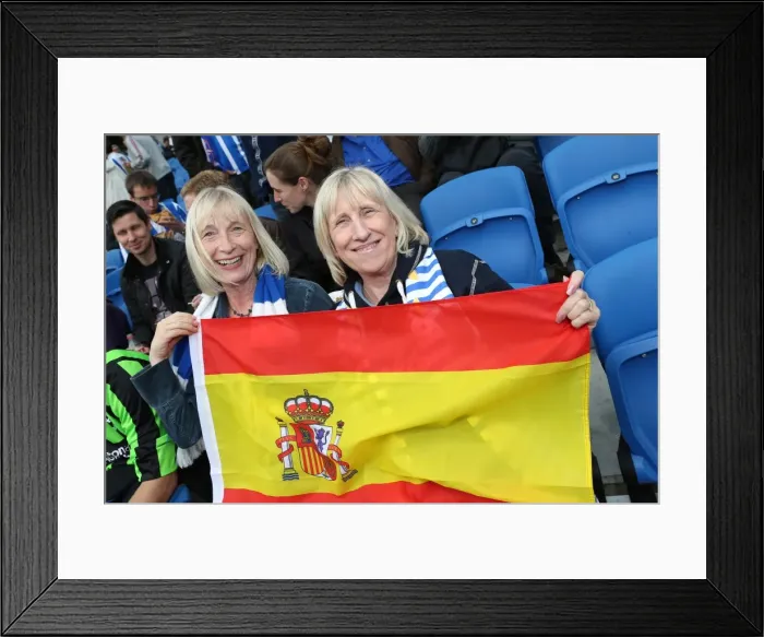 Framed Print : Brighton & Hove Albion vs. Bolton Wanderers (Spanish Day): 2013-14 Home Game