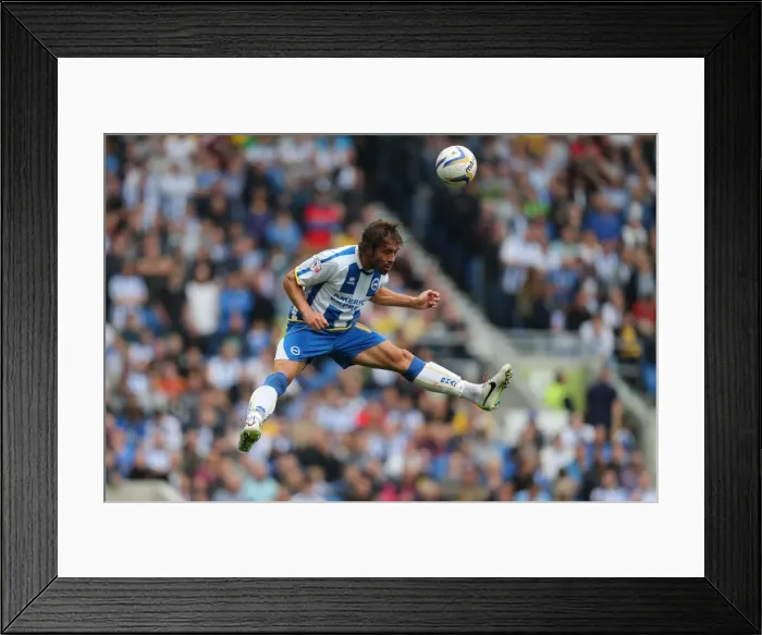 Framed Print : Brighton & Hove Albion vs. Bolton Wanderers (Spanish Day): 2013-14 Home Game