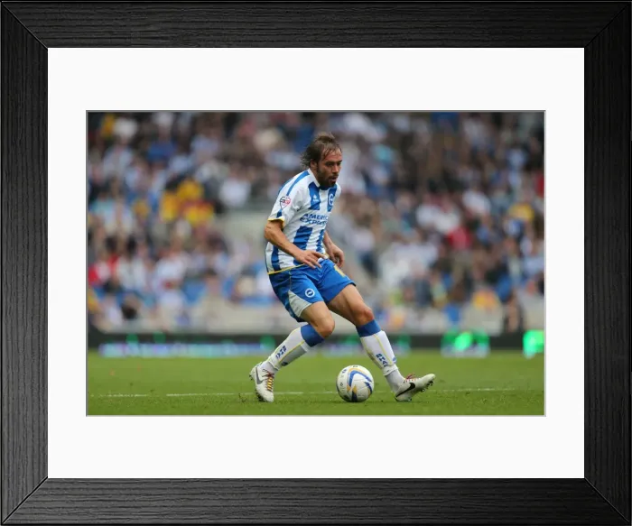 Framed Print : Brighton & Hove Albion vs. Bolton Wanderers (Spanish Day): 2013-14 Home Game