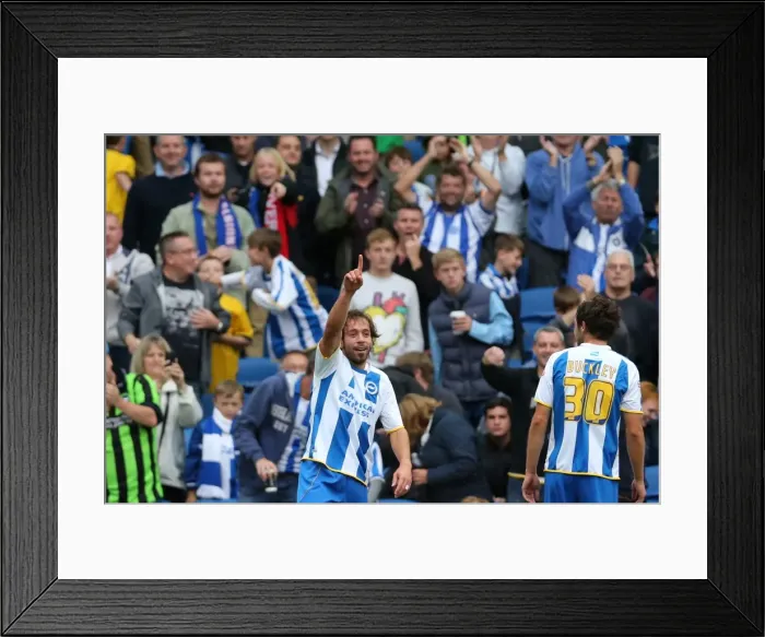 Framed Print : Brighton & Hove Albion vs. Bolton Wanderers (Spanish Day): 21-09-2013 - Home Game, Season 2013-14