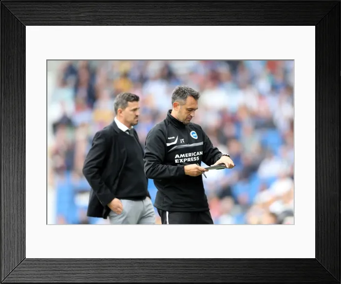 Framed Print : Brighton & Hove Albion vs. Bolton Wanderers (Spanish Day): 2013-14 Home Game Framed Print : Brighton & Hove Albion vs. Bolton Wanderers (Spanish Day): 2013-14 Home Game