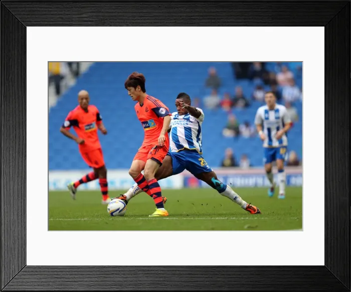 Framed Print : Brighton & Hove Albion vs. Bolton Wanderers (Spanish Day): 2013-14 Season Home Game Framed Print : Brighton & Hove Albion vs. Bolton Wanderers (Spanish Day): 2013-14 Season Home Game