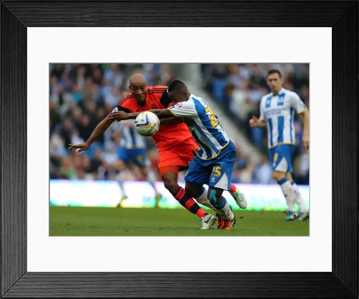 Framed Print : Brighton & Hove Albion vs. Bolton Wanderers (Spanish Day): 2013-14 Home Game