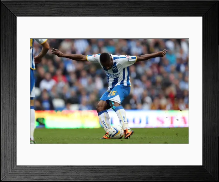Framed Print : Brighton & Hove Albion vs. Bolton Wanderers (Spanish Day): 2013-14 Season Home Game Framed Print : Brighton & Hove Albion vs. Bolton Wanderers (Spanish Day): 2013-14 Season Home Game