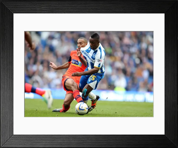 Framed Print : Brighton & Hove Albion vs. Bolton Wanderers (Spanish Day, 2013-14 Season): Home Game