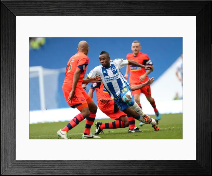 Framed Print : Brighton & Hove Albion vs. Bolton Wanderers (Spanish Day): 2013-14 Home Game
