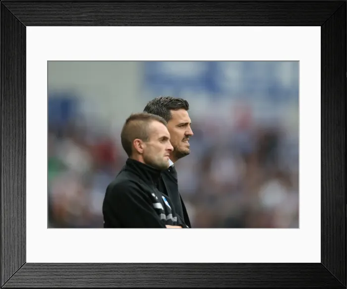 Framed Print : Brighton & Hove Albion vs. Bolton Wanderers (Spanish Day): Home Game - Season 2013-14 Framed Print : Brighton & Hove Albion vs. Bolton Wanderers (Spanish Day): Home Game - Season 2013-14
