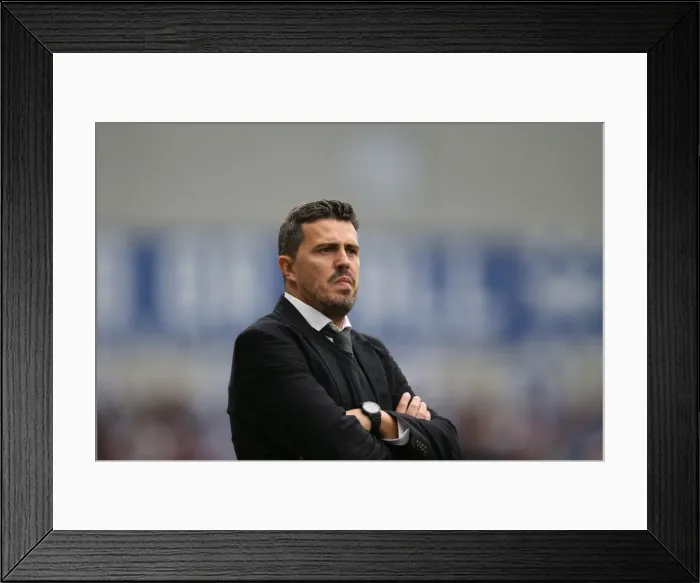 Framed Print : Brighton & Hove Albion vs. Bolton Wanderers (Spanish Day): 2013-14 Season Home Game