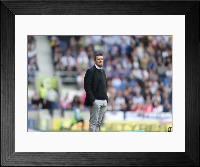 Framed Print : Brighton & Hove Albion vs. Bolton Wanderers (Spanish Day): 2013-14 Home Game