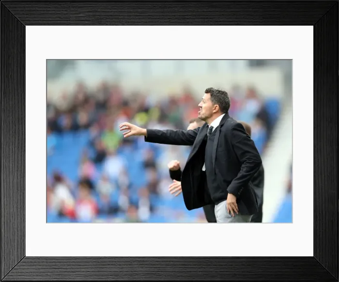 Framed Print : Brighton & Hove Albion vs. Bolton Wanderers (Spanish Day): Home Game - Season 2013-14 Framed Print : Brighton & Hove Albion vs. Bolton Wanderers (Spanish Day): Home Game - Season 2013-14