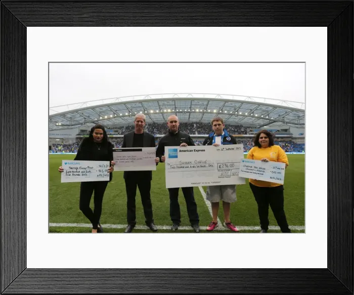 Framed Print : Brighton & Hove Albion vs. Bolton Wanderers (Spanish Day), 2013-14 Season: Home Game