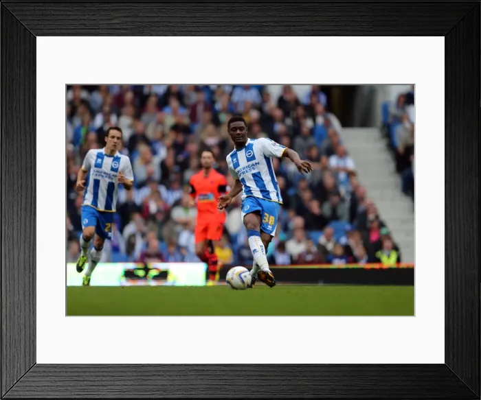 Framed Print : Brighton & Hove Albion vs. Bolton Wanderers (Spanish Day): 21-09-2013 - Home Game, Season 2013-14 Framed Print : Brighton & Hove Albion vs. Bolton Wanderers (Spanish Day): 21-09-2013 - Home Game, Season 2013-14
