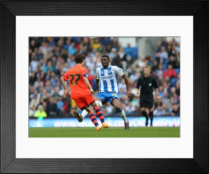 Framed Print : Brighton & Hove Albion vs. Bolton Wanderers (Spanish Day): 21-09-2013 - Home Game, Season 2013-14 Framed Print : Brighton & Hove Albion vs. Bolton Wanderers (Spanish Day): 21-09-2013 - Home Game, Season 2013-14