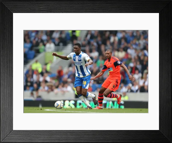 Framed Print : Brighton & Hove Albion vs. Bolton Wanderers (Spanish Day, 2013-14 Season): Home Game