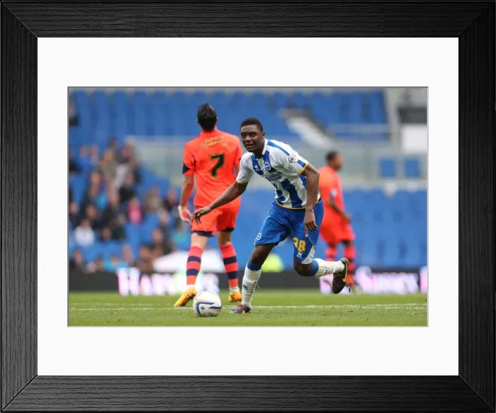 Framed Print : Brighton & Hove Albion vs. Bolton Wanderers (Spanish Day): 21-09-2013 - Home Game, Season 2013-14 Framed Print : Brighton & Hove Albion vs. Bolton Wanderers (Spanish Day): 21-09-2013 - Home Game, Season 2013-14