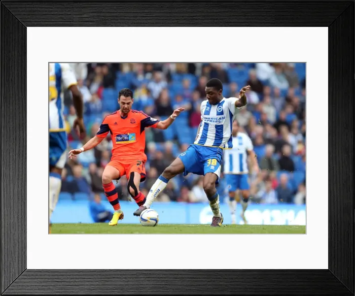 Framed Print : Brighton & Hove Albion vs. Bolton Wanderers (Spanish Day): 21-09-2013 - Home Game, Season 2013-14 Framed Print : Brighton & Hove Albion vs. Bolton Wanderers (Spanish Day): 21-09-2013 - Home Game, Season 2013-14