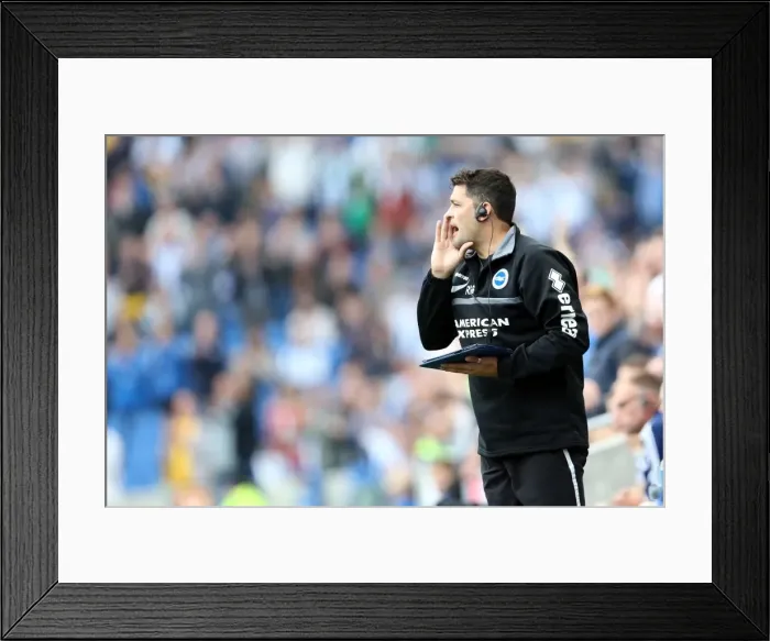 Framed Print : Brighton & Hove Albion vs. Bolton Wanderers (Spanish Day): 2013-14 Season Home Game Framed Print : Brighton & Hove Albion vs. Bolton Wanderers (Spanish Day): 2013-14 Season Home Game