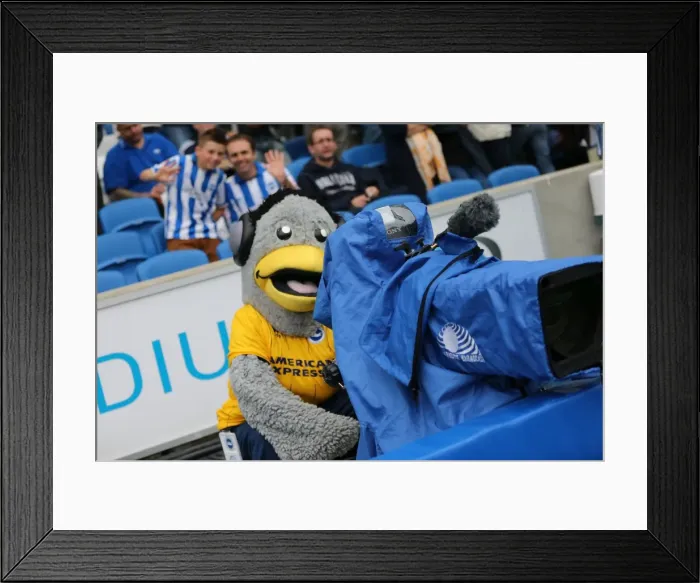 Framed Print : Brighton & Hove Albion vs. Bolton Wanderers (Spanish Day): 21-09-2013 - Home Game, Season 2013-14 Framed Print : Brighton & Hove Albion vs. Bolton Wanderers (Spanish Day): 21-09-2013 - Home Game, Season 2013-14