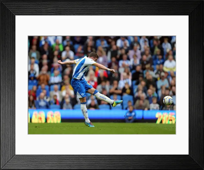 Framed Print : Brighton & Hove Albion vs. Bolton Wanderers (Spanish Day): 2013-14 Home Game